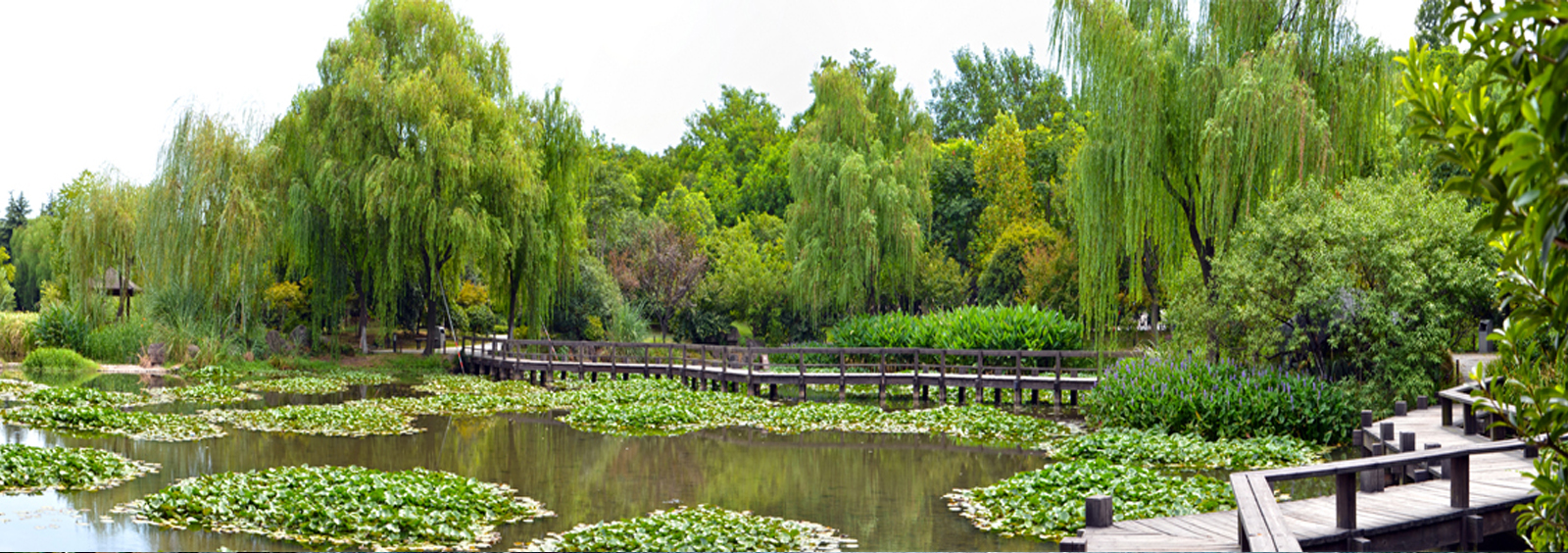 url(http://www.wanhengda.net/theme/TP000163/pic/banner4.jpg)